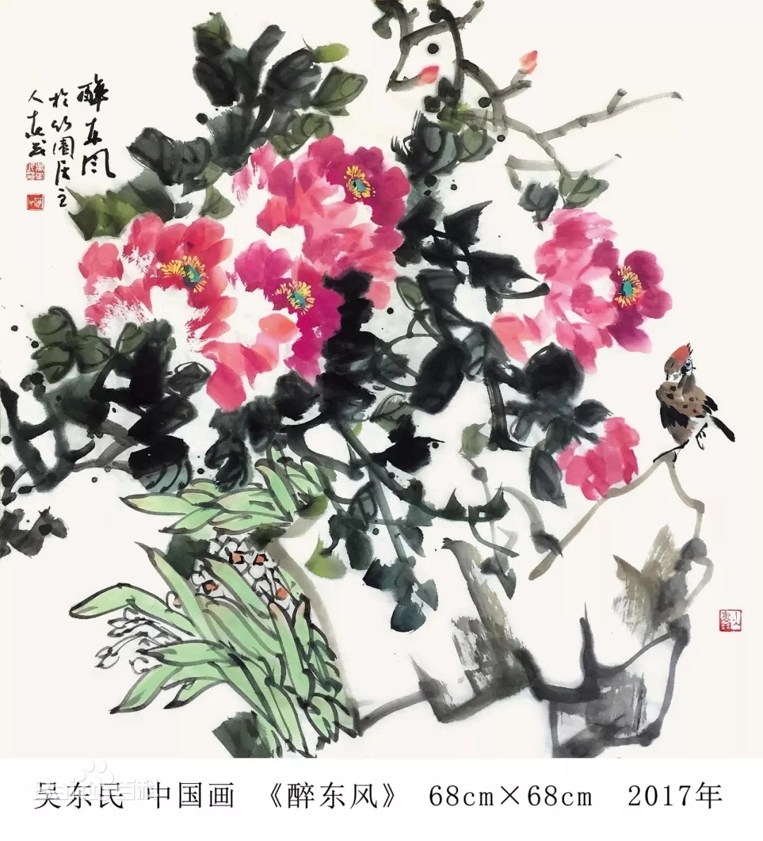 吴东民7 webp