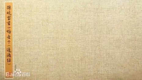 孙晓云2 webp